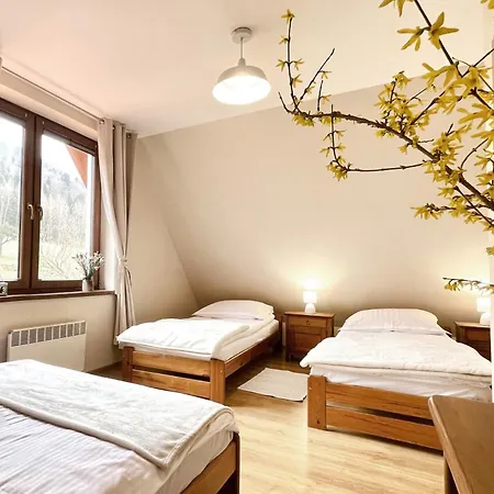 Alpejka - Gorski Деревянный коттедж Idzikow